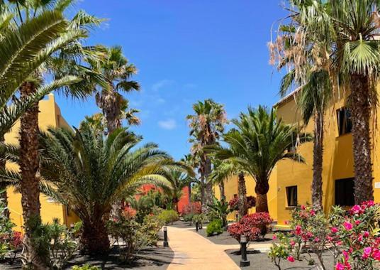 Casa Cayenne - Stylish Apartment With Ocean/Dune View Corralejo Exterior photo